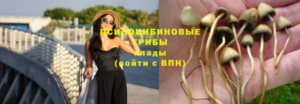 не бодяженный Алзамай