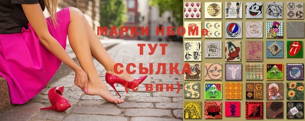 стафф Алексин