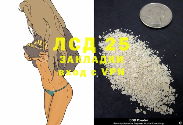 стафф Алексин