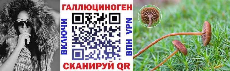 Галлюциногенные грибы Psilocybe  что такое   Ивангород 