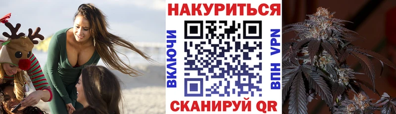 Шишки марихуана план  купить наркоту  Ивангород 
